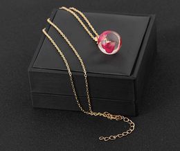 Dried flowers necklaces fashion Real handmade round clear glass necklace jewelry statement necklace