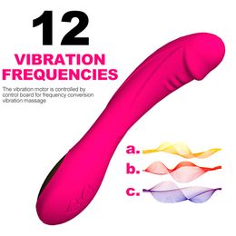 Rechargeable 12 Speed Vibration Dildo AV Vibrator Handheld Massage Wand Massager Waterproof Vaginal Stimulator for Woman