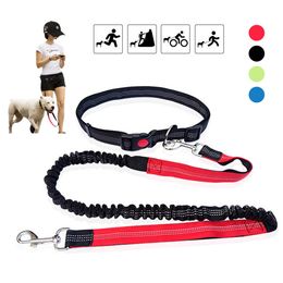 Adjustable Dog Leash Hands Free Leash for Running Walking Training Hiking Dual Handle Lead Shock Absorbing Bungee Dog Lead 201104