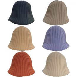 Beanie/Skull Caps Women Beanies High Quality Female Wool Solid Knit Hat Fashion Hats For Girl Winter Warm Gorras Bonnet Outdoor Bone Sale1