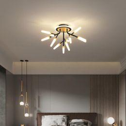 Ceiling Lights Nordic LED Lighting Fixtures Living Room Bedroom Fashion Design Acrylic Light Personality Kitchen Lamp