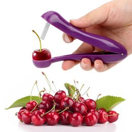 Push Type Cherry Corer Fruit Core Seed Remover Cherry Pitter Olive Core Remover Kitchen Tools Kitchen Accessories