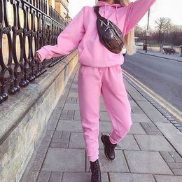 Women Hoodies 2 Piece Set Solid Colour Pant Clothing Autumn Winter Warm Tracksuit Ladies Suit Sports Jogger Sweatshirt Trousers T200825