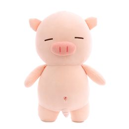 Tiktok hot gifts the same kind of stuffed animal soft software pig beach pig funny doll girl gift pillow for Kids Birthday Valentine's Day present
