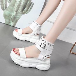 2020 summer new versatile casual high-top wedge heel Roman sandals high-heeled thick-soled muffin sandals female increase Z5171