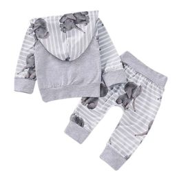 Newborn Costume Set Baby Girls Boy Hooded Elephant Striped Tops Pants Tracksuit Trousers Outfits Clothes Sets LJ201223