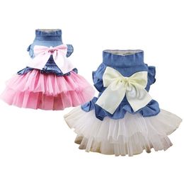 Lace Jean Dog Dresses For Small Dogs Chihuahua Summer Puppy Party Dress Pomeranian Princess Tutu Shih Tzu Yorkshire Pet Clothes LJ200923