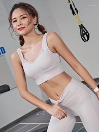 Gym Clothing Sports Underwear Women Running Gather Shockproof And Anti-sag Fitness Bra High-intensity Big-chested Absorption Yoga Wear1