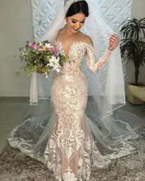 Champagne Wedding Dresses Boho Elegant Lace Mermaid Wedding Dress Illusion Neck Long Sleeves Country Garden Bridal Gowns 2022 CG001