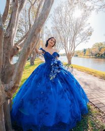 Princess Royal Blue Wedding Dress Beading Lace Appliques Bridal Gowns Flower Sequins Back Lace Up Floor Length Robe de mariee