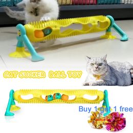 Cat Toys Interactive Track Ball Toy catnip Balls Glass Window Suction Cup Massage Plastic Sucker funny cat Game Intelligence Toy LJ201125