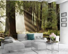 3d Modern Wallpaper Home Improvement 3d Wallpaper Beautiful Forest Park HD Digital Printing Moisture-proof Wallpaper