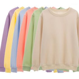 Colourful hoodies australia Clearance