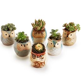 6pcs/lot Ceramic Owl Flower Pots Planters Flowing Glaze Base Serial Set Succulent Cactus Plant Container Planter Bonsai Pots Y200723