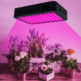 -Full Spectrum luzes LED crescer 1800W 180 * 10W 3030 Lamp Bead Lamp planta da flor planta crescer Sistema Aumentar Lamp Preto Controle Individual