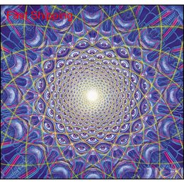 Pinturas pôster 24x24 "13x13" Trippy Alex Grey Print Decor Home Decor Sticke Qyleov Packing2010