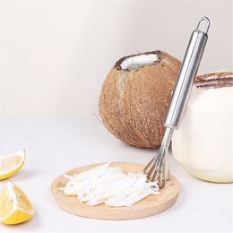 Fruit Tools Coconut Scraper Meat Removal Knife Stainless Steel Vegetable Grater Slicer Fish Scaler Planer Fruit Peeler KDJK2203