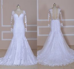 Plus Size Wedding Dresses Long Sleeves Expensive Lace Appliue Boat Neck Hollow Back Mermaid Bridal Dress Womens vestidos de novia