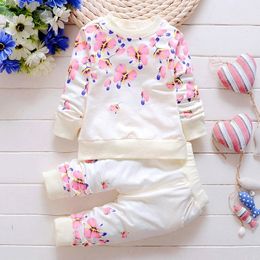 Baby Girl Clothing Sets Fashion Long Sleeve Print Flower Toddler Tshirt + Pants 2PCS 1 2 3 4 Years Kids Girls Wear LJ200917