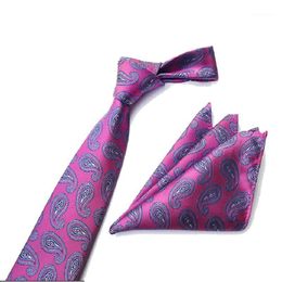 Bow Ties Tie Set Necktie Handkerchife Men's Paisley Plaid Business Neckwear Ascot Shirt Fashion Accessories1