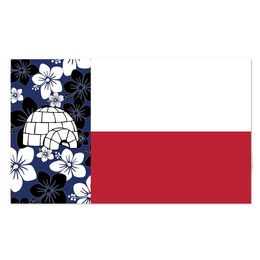 Cheap Price Texas Flags 3x5,Custom flags All Countries Double Stitched , Festival Outdoor Indoor, Free Shipping