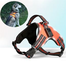 Rechargeable LED Harness for Pets Dog Tailup Nylon Led Flashing Light Dog Harness Collar Pet Safety Leash Belt Dog Accessories 201126