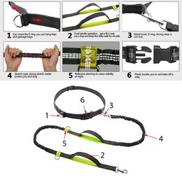 Sports Dog Leash Running Jogging Waist Belt Pet Elastic Double elasticity Leash For Up to 150 lbs Large Dogs Free Bag Dispenser 201102