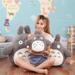 totoro plush australia
