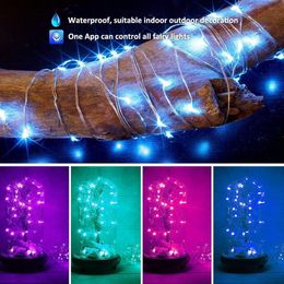 Christmas Tree Decoration Lights Custom LED String Lights App Remote Control Light 201203