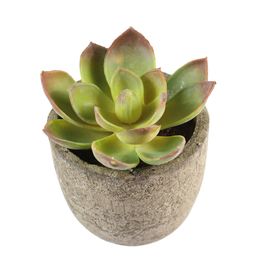 Home Artificial Succulent Plants Fake Artificial Bonsai with Pots Decorative Ball Plants Artificial Flower Mini Plants decor C0125