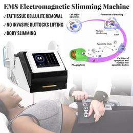 Salon Use HIEMT Machine Ems Muscle Building Fat Burning Machines High Intensity Focused Electromagnetic HIEMT Slimming Device