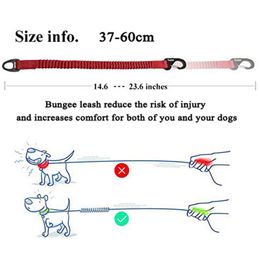Truelove Buffer Bungee Dog Leash for Outdoor All Breed Dogs Training Running Walking Safe Leashs for Dog Harness Collar Leash LJ201202
