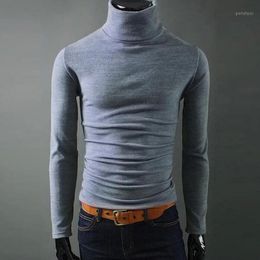 Men's Sweaters Helisopus 2021 Mens Casual Turtleneck Man's Knited Slim Fit Brand Sweater Pullovers Masculino1