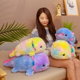 40cm 55cm Cartoon Colourful Salamander Plush Toys Stuffed Soft Baby Lovely Fish Pillow Kawaii Lifelike Doll for Kids Children Gifts LA327