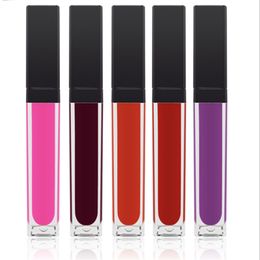 VMAE 33 Colors Hot Sale Black Shine Lip Gloss Lip Balm Matte Waterproof Natural Long Lasting Custom Private Label Single Box Pack