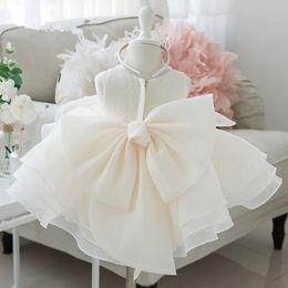 2021 Vintage Flower Girls Dresses Ivory Baby Infant Toddler Baptism Clothes Lace Tutu Ball Gowns Birthday Party Dress266V