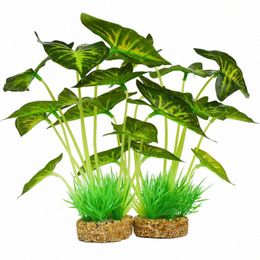 aquarium decorations canada