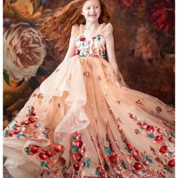 Champagne Flower Girl Dresses For Wedding V Neck Lace Appliques Puffy Girls Pageant Gowns Little Princess Kids Birthday Dress
