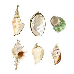 5pcs Natural Conch Seashell Ornaments For Pendant Shells Charms Necklace Pendant Diy Shells For Jewellery Making Accessories H jllIaX