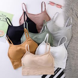 Gym Clothing Sports Bra For Women Tops Ladies Underwear Padded Free Size Muliti Colours Yoga Female Top Fitness Breathable1