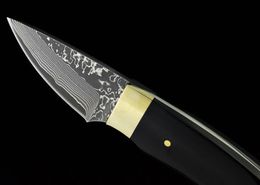 Promotion 5.6 Inch Damascus Fixed Blade Straight Knife VG10-Damascus Steel Blade Resin+Brass Handle EDC Knives With Leather Sheath