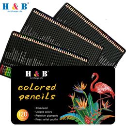 120 Colours Professional Oil Colour Pencils Set Sketch Pencil Non-Toxic Wood Soft Bright Colour Pencil Artist Paint School Supplies 201202