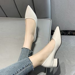 Plus Size 34-43 Woman Pumps Low Heels Boat Shoes Pointed Toe Dress Shoes Square Heel Ladies Shoe Pointed Toe White Wedding 9338N