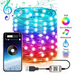 USB LED String Light Christmas Tree Decoration Light Bluetooth App Control String Lights Lamp IP65 Waterproof Fairy Lights