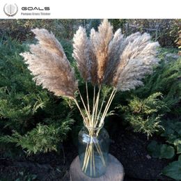 Wedding use pampas flower bunch beautiful reed christmas decor pampas grass flower bunch natural dried reed plants Y200903