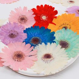 Decorative Flowers & Wreaths 50pcs Gerbera Pressed Dried Resin Natural Flower Jewellery Making Soap Candle Phone Case Home Decor
