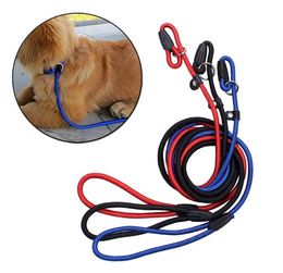 Pet Dog Collars & Leashes Nylon Adjustable Collar Training Loop Slip Leash Rope Lead Small Size Red Blue Black Colour