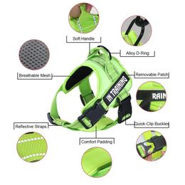 FML Pet No Pull Cat Harness with Reflective Straps Adjustable Breathable Service Dogs Vest with Handle Easy Control In Training LJ277h