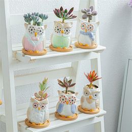 Flower Pot Mini Ceramic Owl Succulent Plant Container Pot Flowers Planter Garden Supplies Home Decoration Accessories