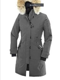 DH DHWOMEN O casaco de inverno de WhiM Warm Outdoor Sports Down Jacket Down Coats de Alta qualidade Winter Cold Outdoor Ski Park Coat